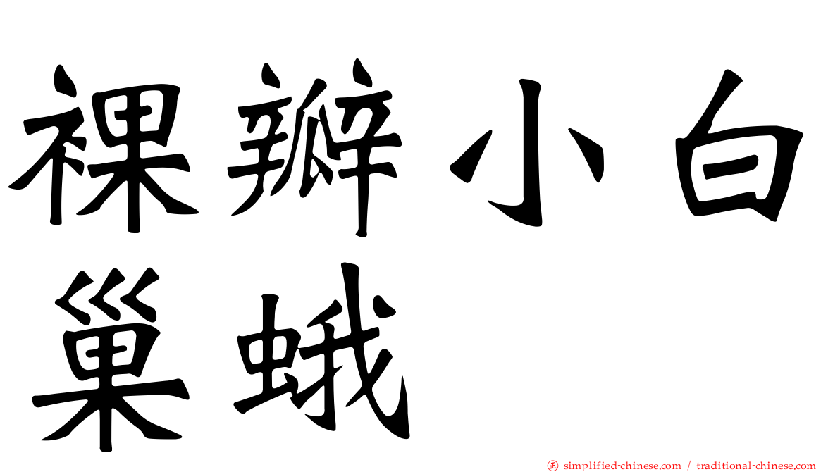 裸瓣小白巢蛾