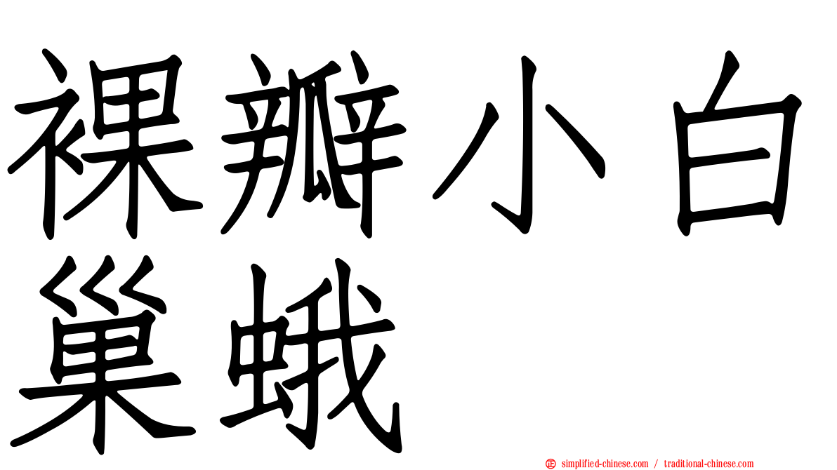 裸瓣小白巢蛾