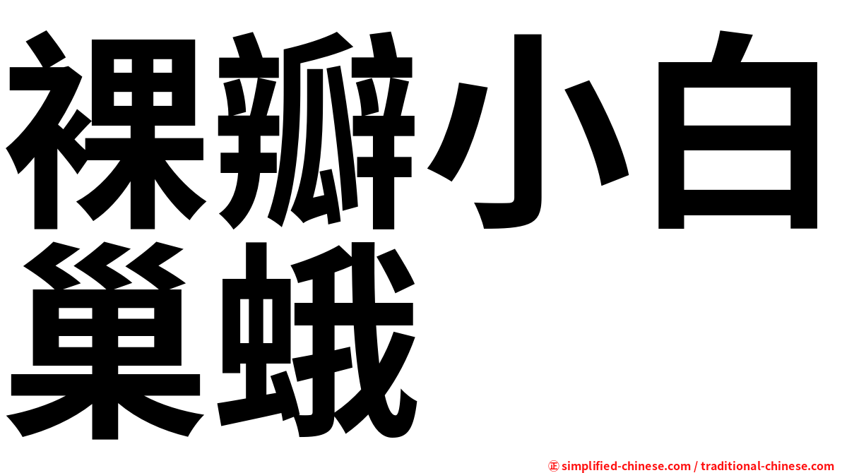 裸瓣小白巢蛾