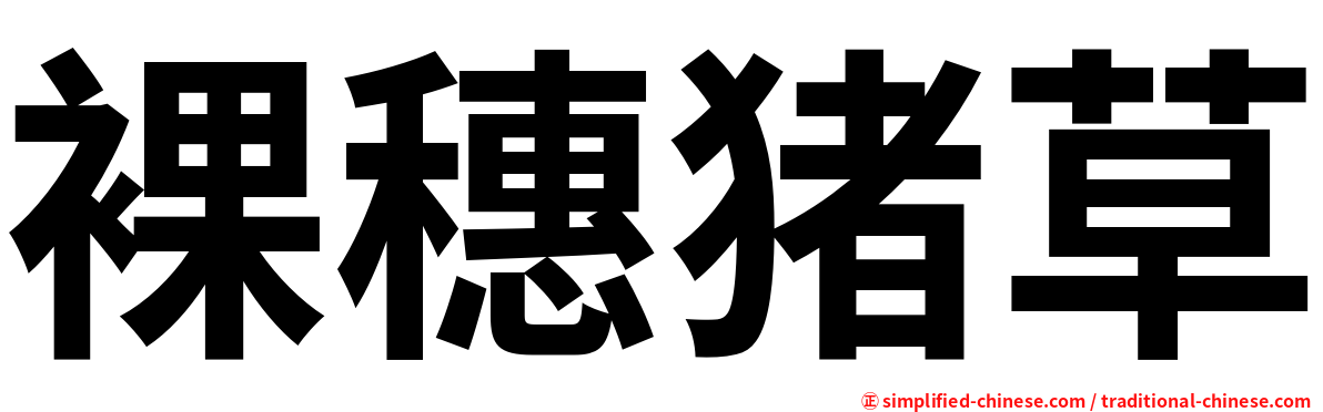 裸穗猪草