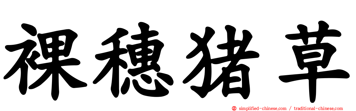裸穗猪草