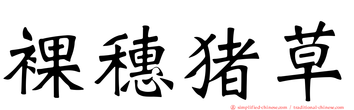 裸穗猪草