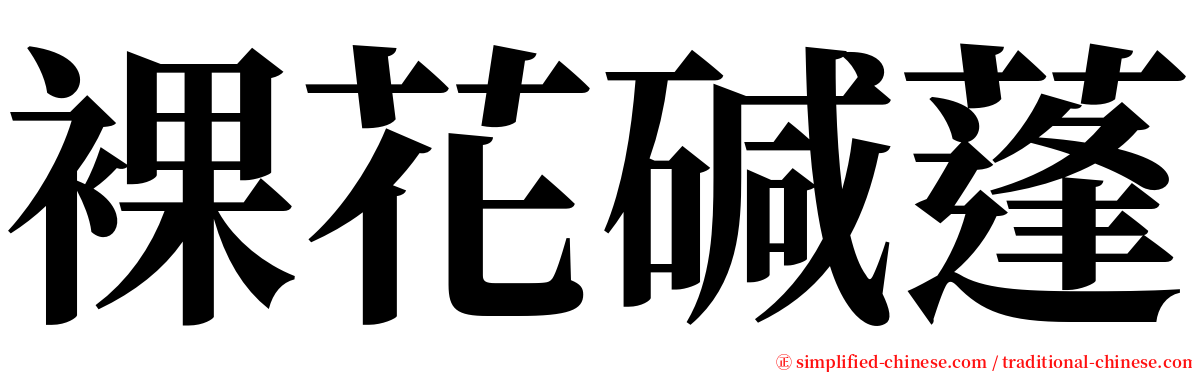 裸花碱蓬 serif font