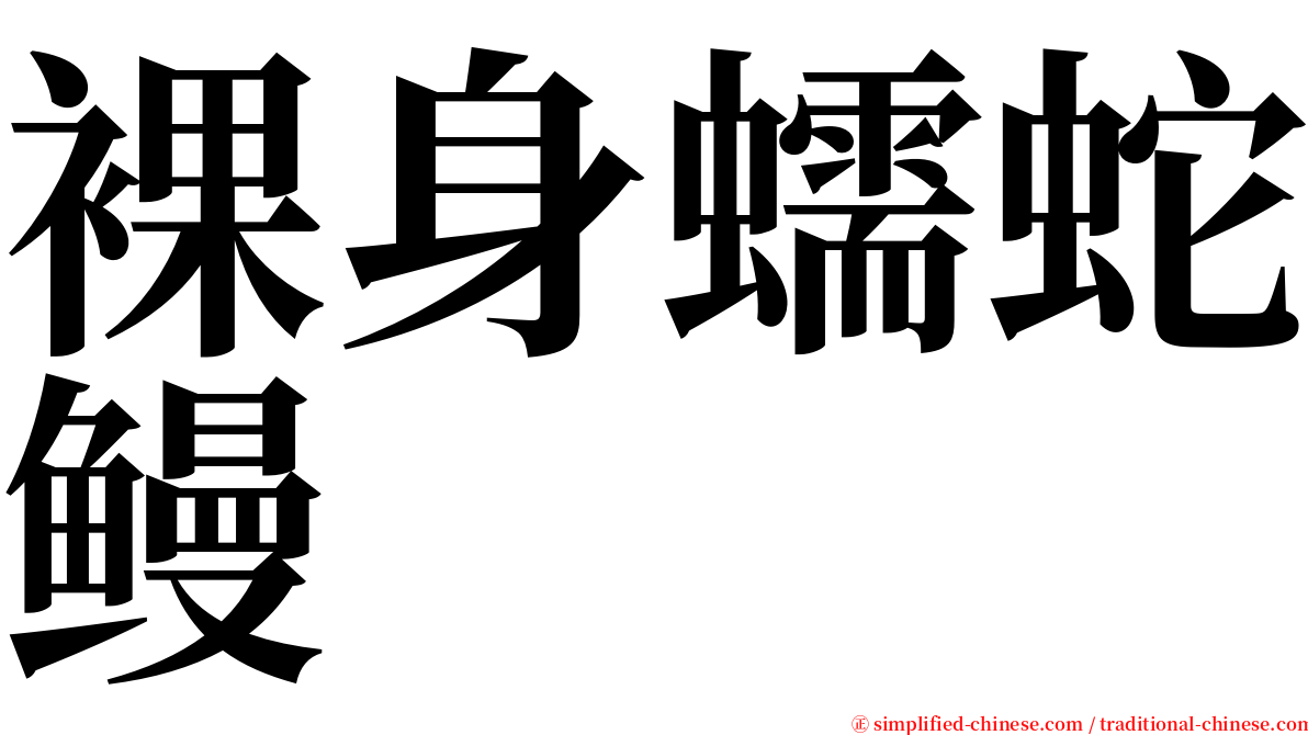 裸身蠕蛇鳗 serif font