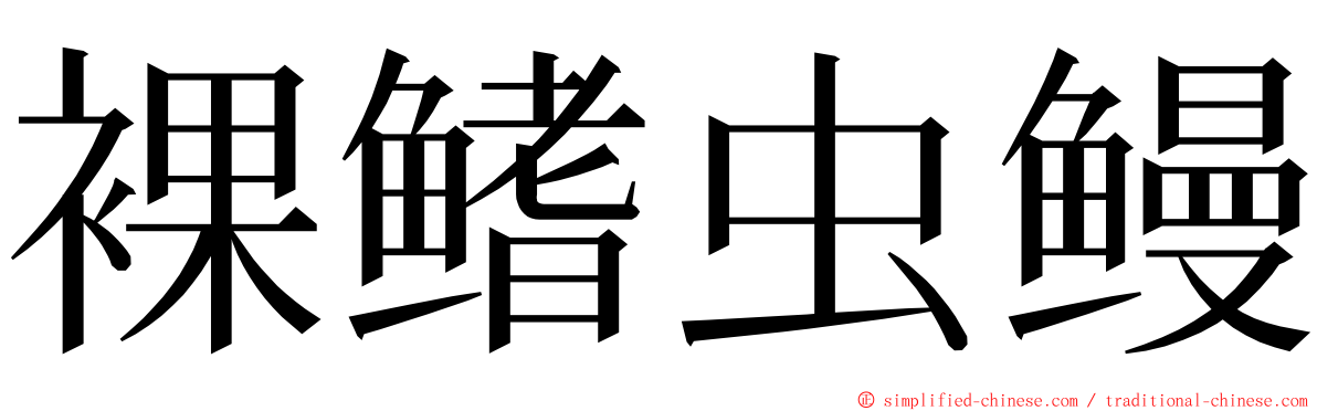 裸鳍虫鳗 ming font