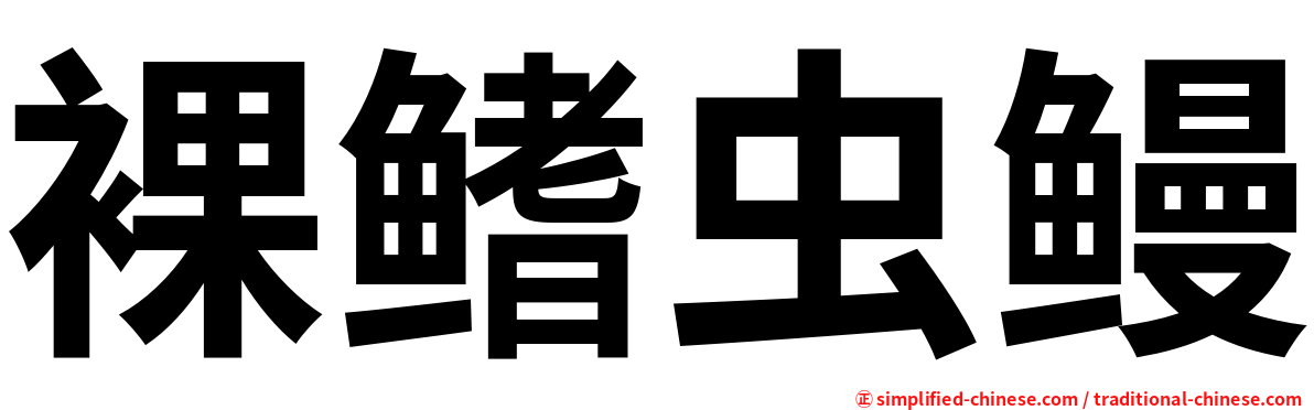 裸鳍虫鳗