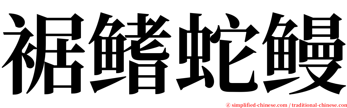 裾鳍蛇鳗 serif font