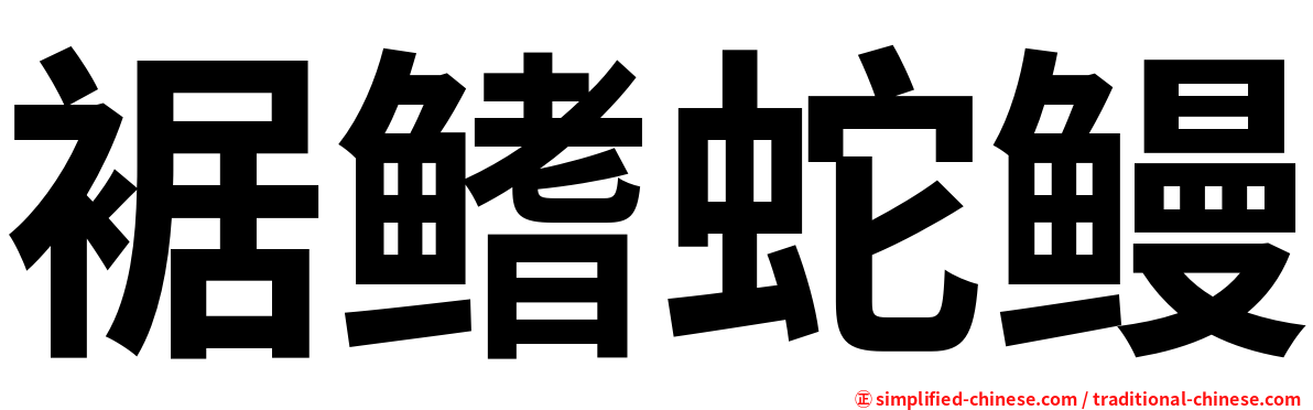 裾鳍蛇鳗