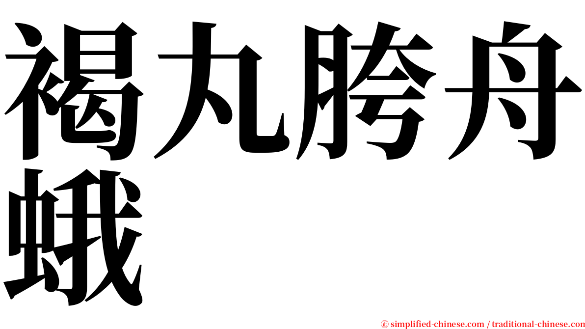 褐丸胯舟蛾 serif font