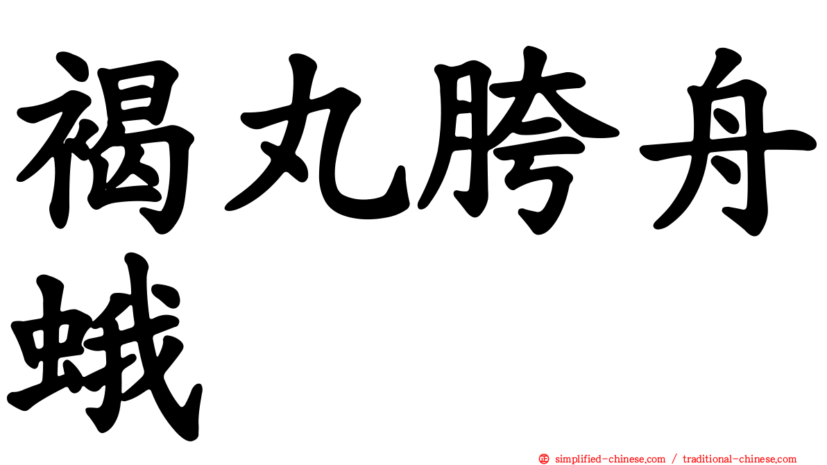 褐丸胯舟蛾