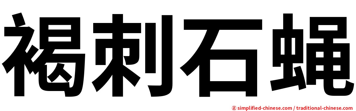 褐刺石蝇