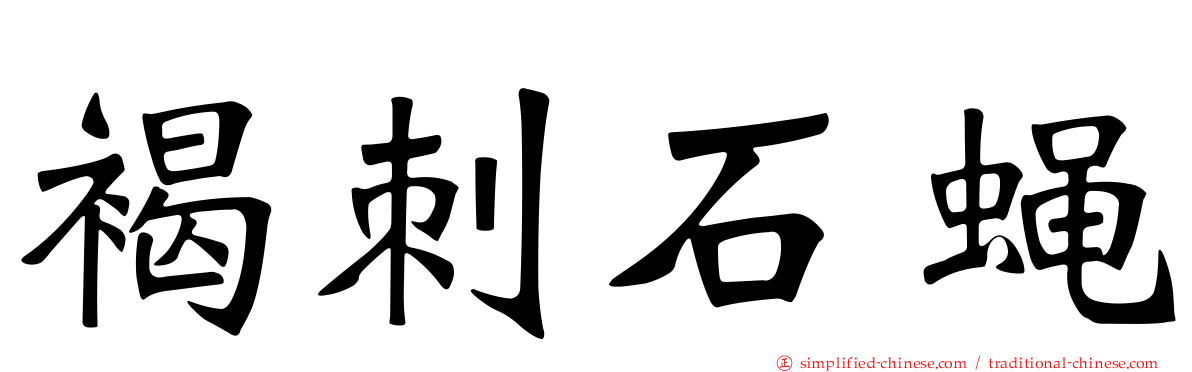 褐刺石蝇