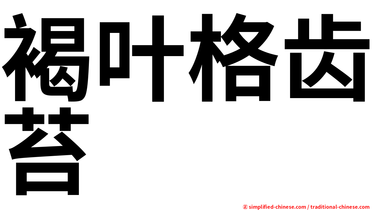 褐叶格齿苔