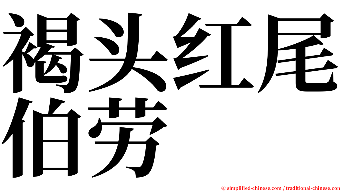 褐头红尾伯劳 serif font