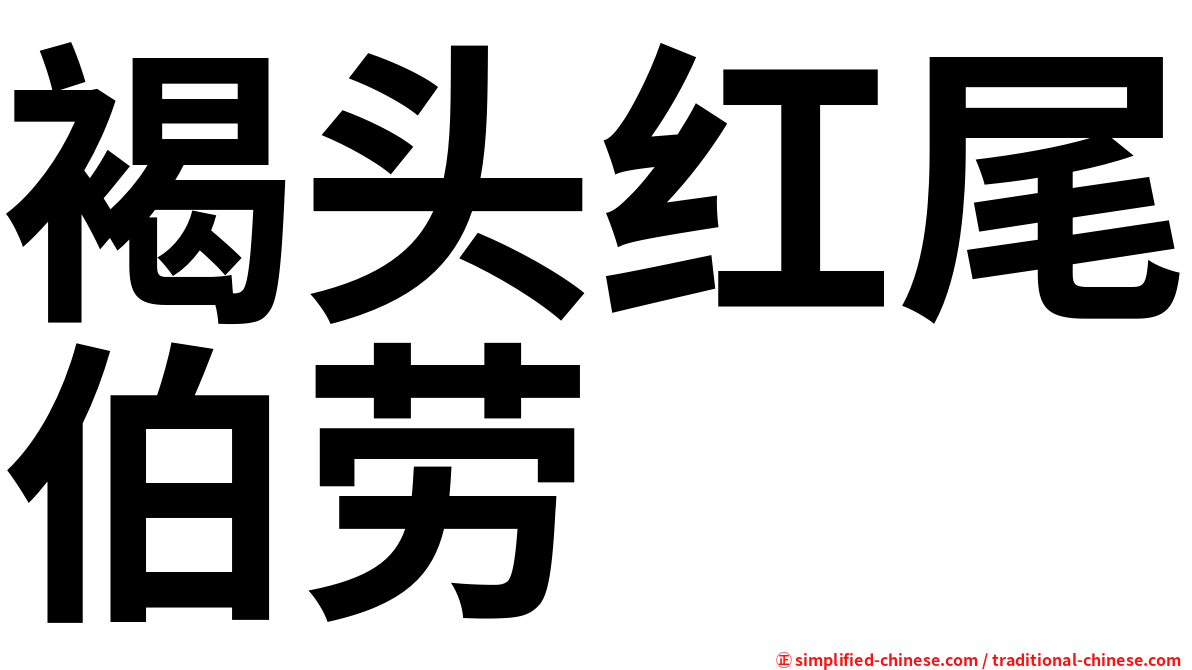 褐头红尾伯劳