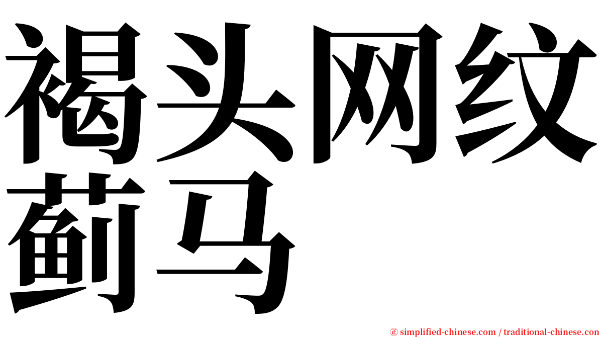 褐头网纹蓟马 serif font