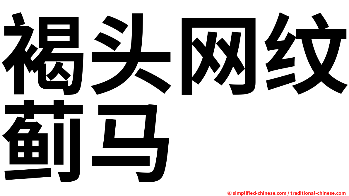 褐头网纹蓟马