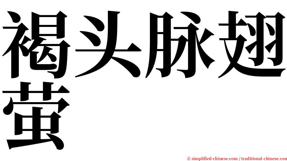 褐头脉翅萤 serif font
