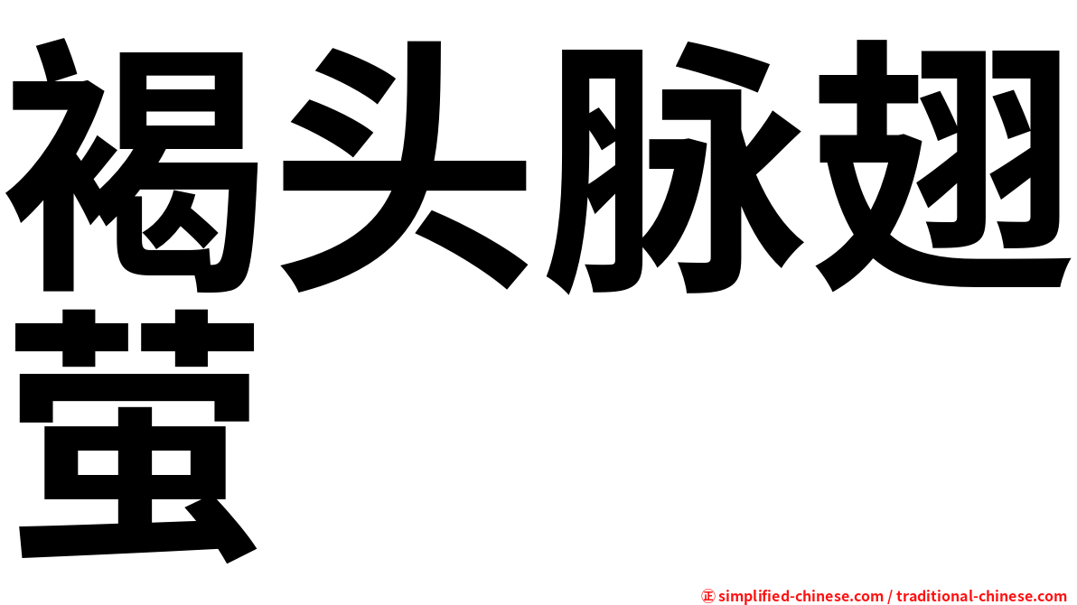 褐头脉翅萤