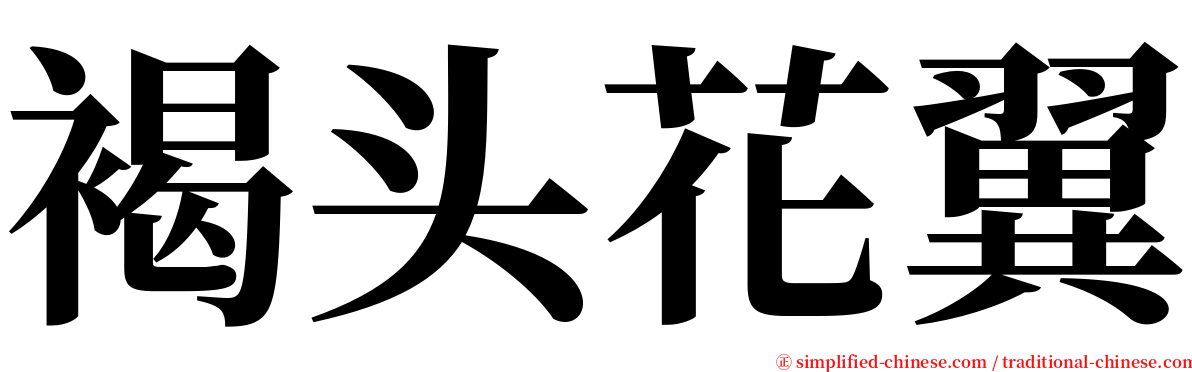 褐头花翼 serif font