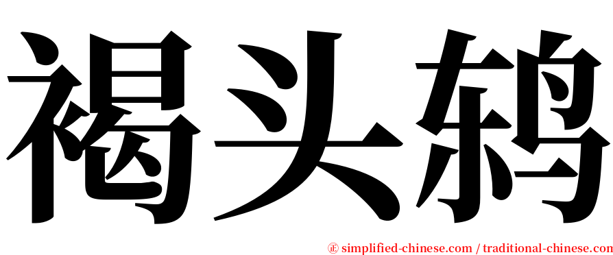 褐头鸫 serif font