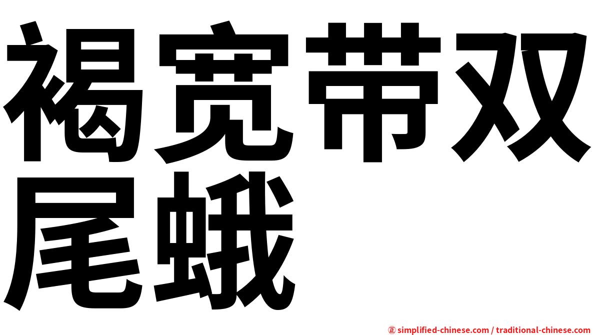 褐宽带双尾蛾