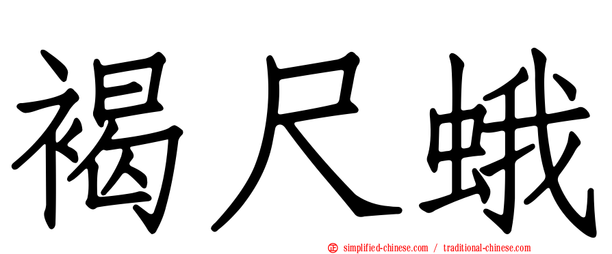 褐尺蛾