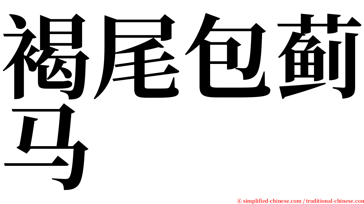 褐尾包蓟马 serif font