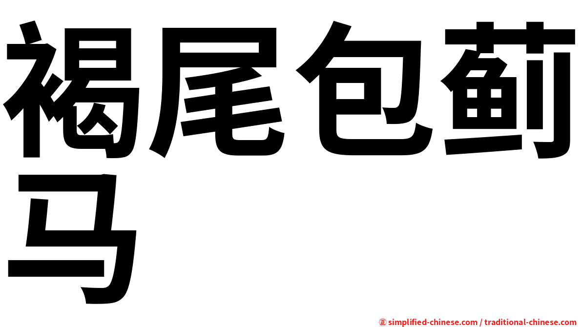 褐尾包蓟马