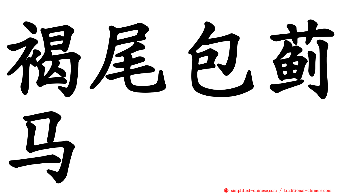 褐尾包蓟马