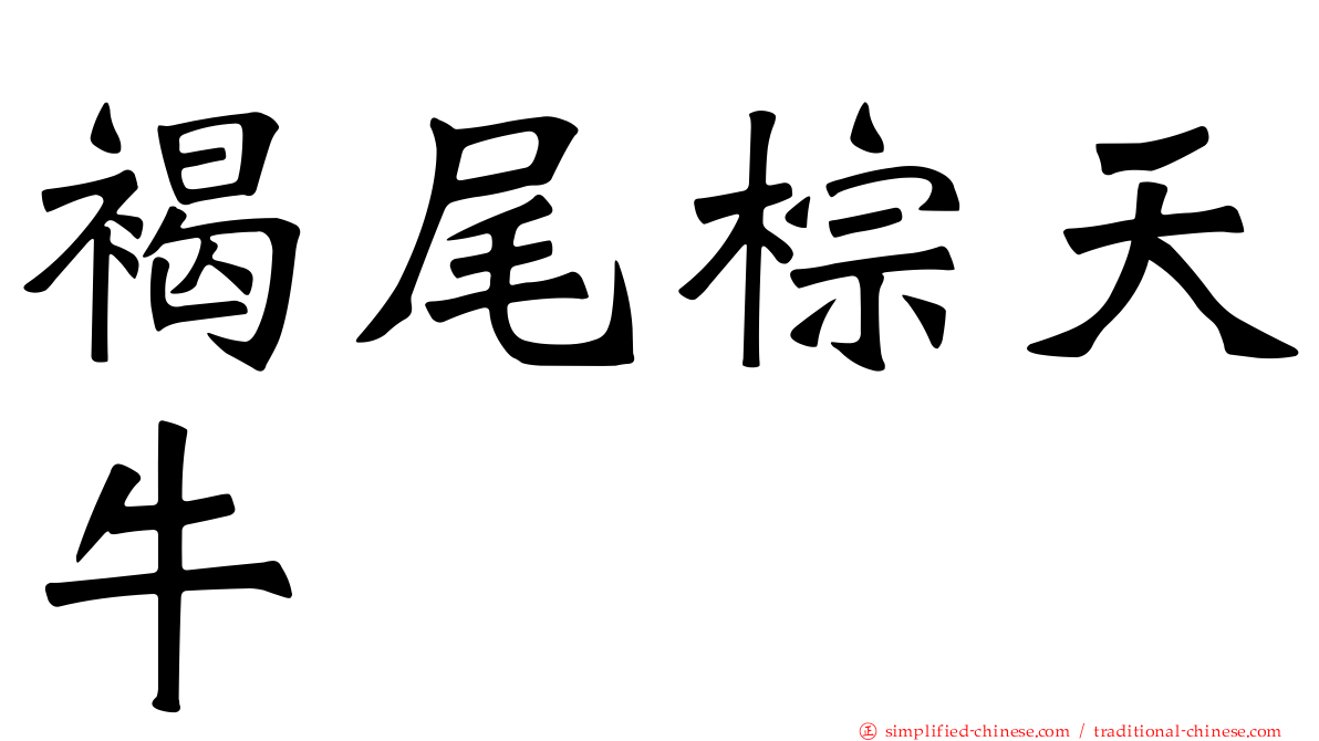 褐尾棕天牛