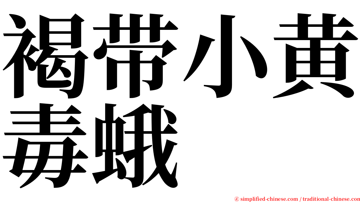 褐带小黄毒蛾 serif font