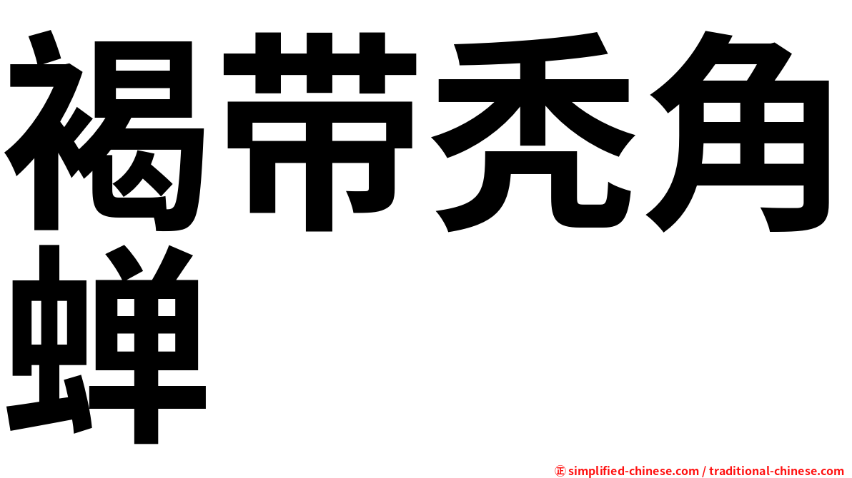 褐带秃角蝉