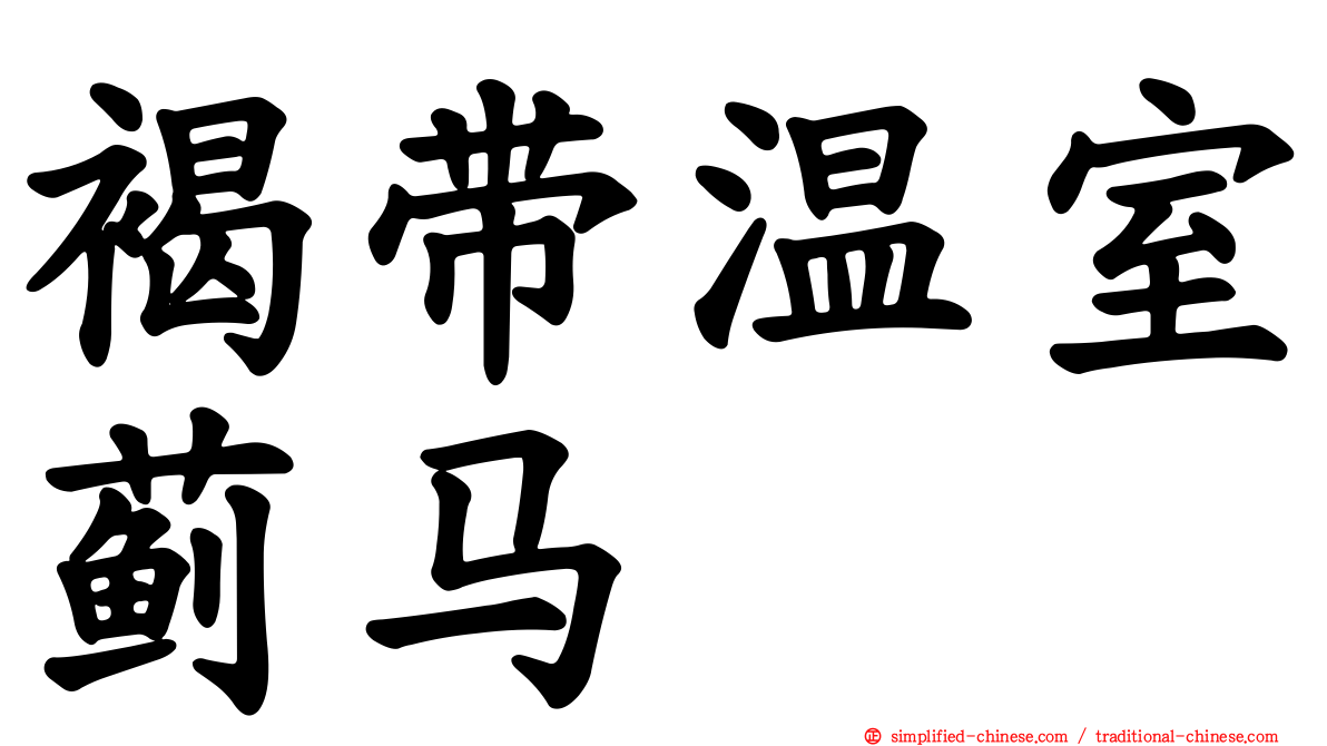 褐带温室蓟马
