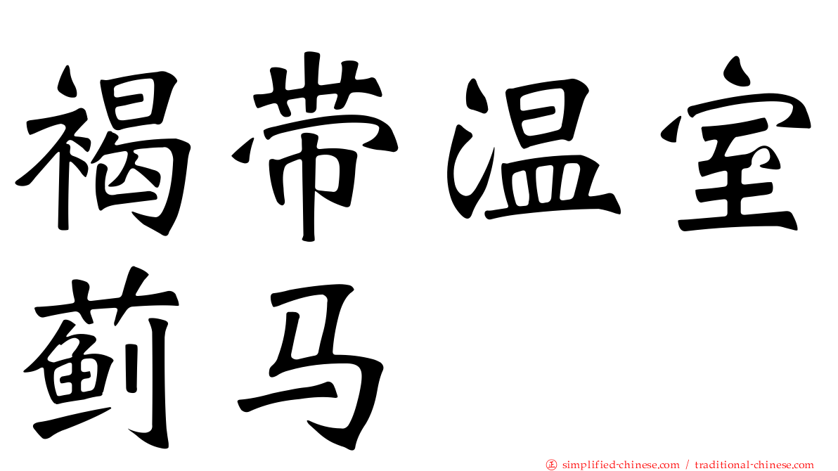 褐带温室蓟马