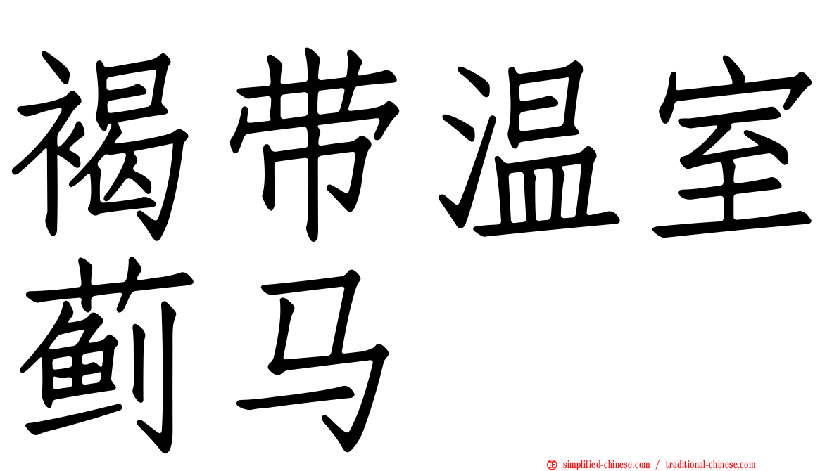 褐带温室蓟马