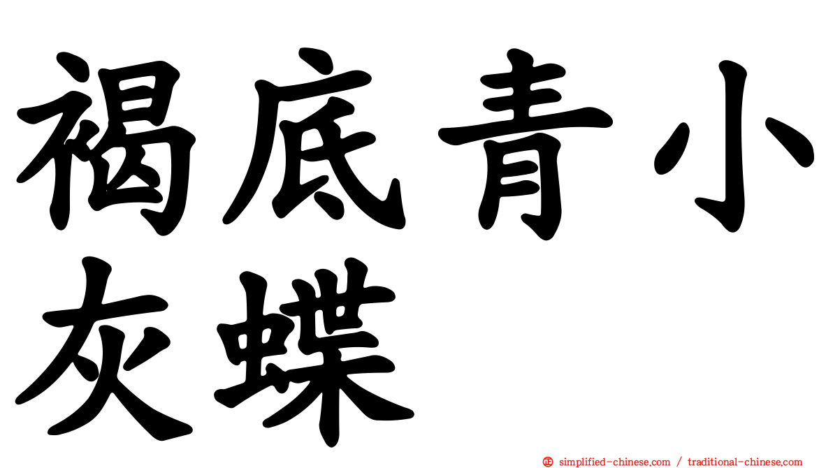 褐底青小灰蝶