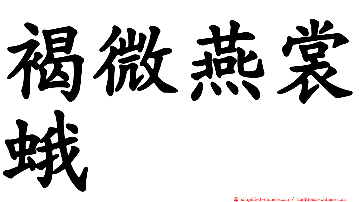 褐微燕裳蛾