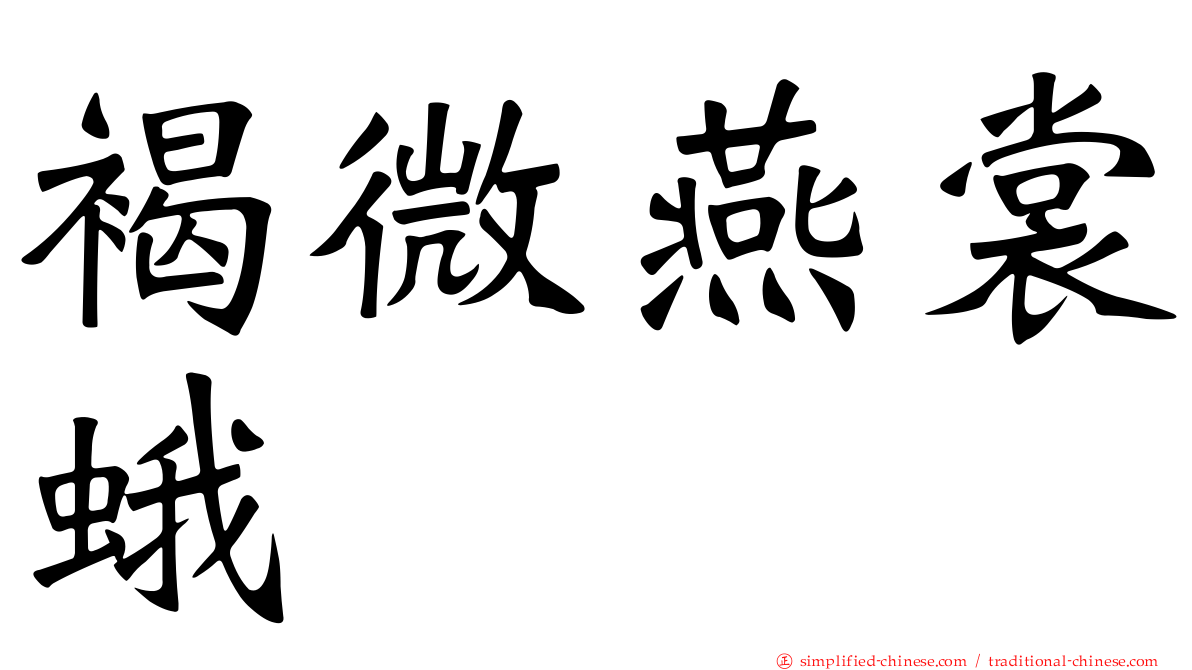 褐微燕裳蛾