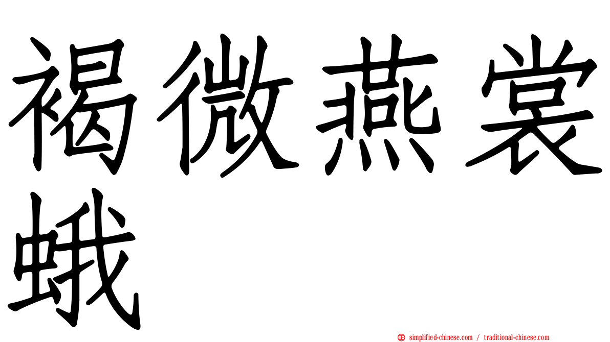 褐微燕裳蛾