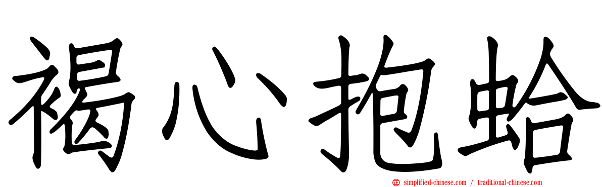 褐心抱蛤