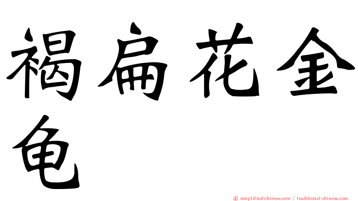 褐扁花金龟