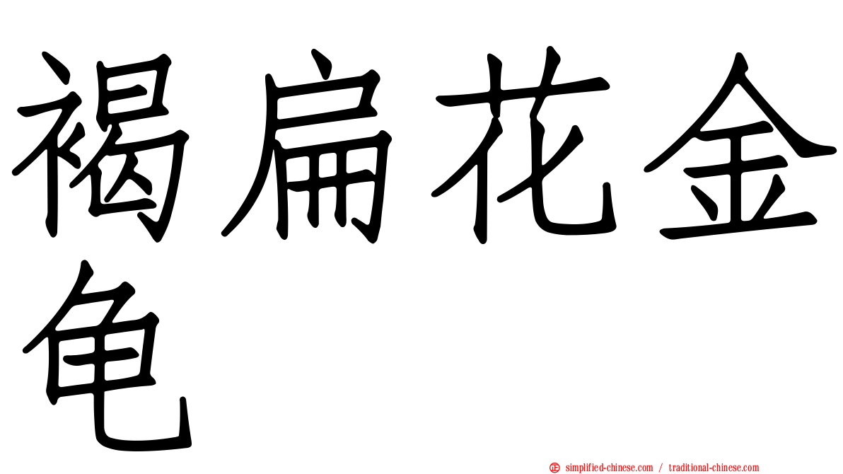 褐扁花金龟