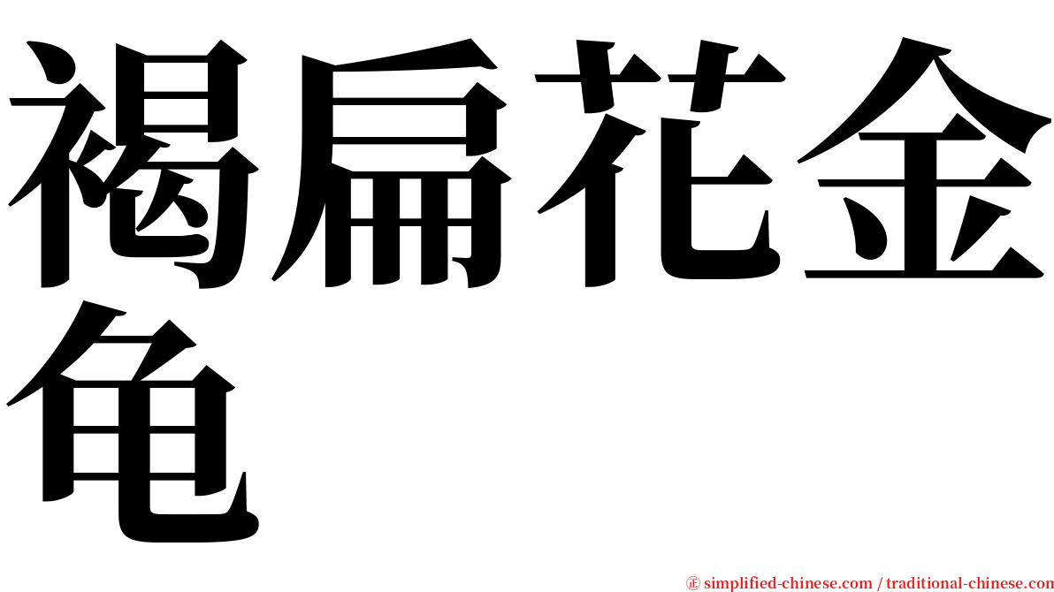 褐扁花金龟 serif font