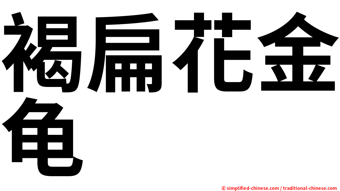 褐扁花金龟