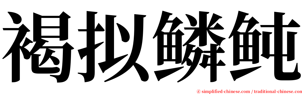褐拟鳞鲀 serif font