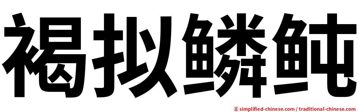 褐拟鳞鲀