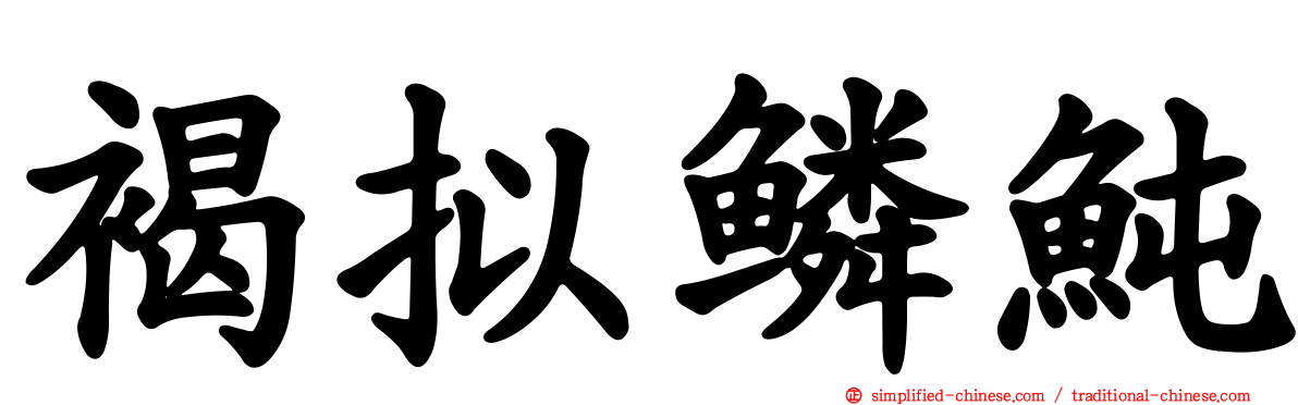 褐拟鳞鲀