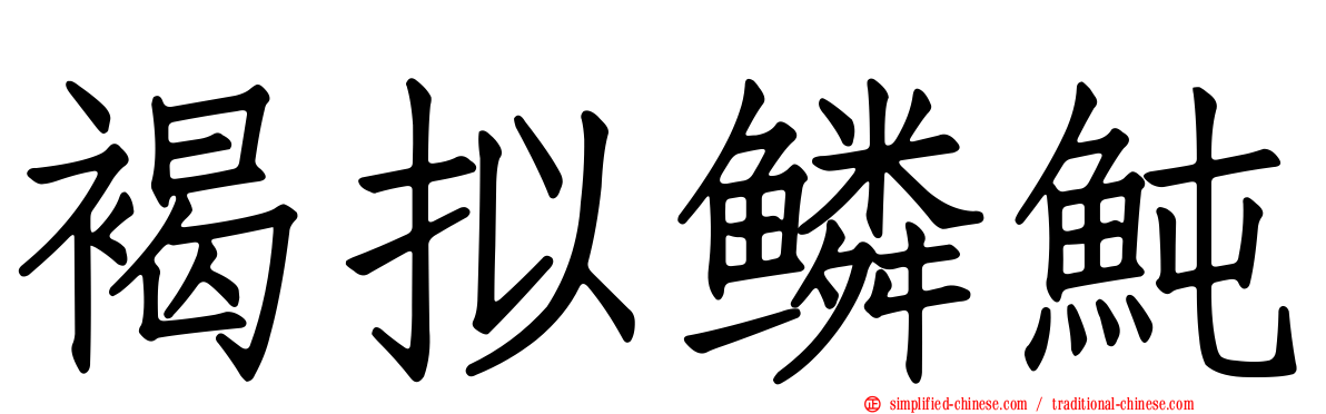 褐拟鳞鲀