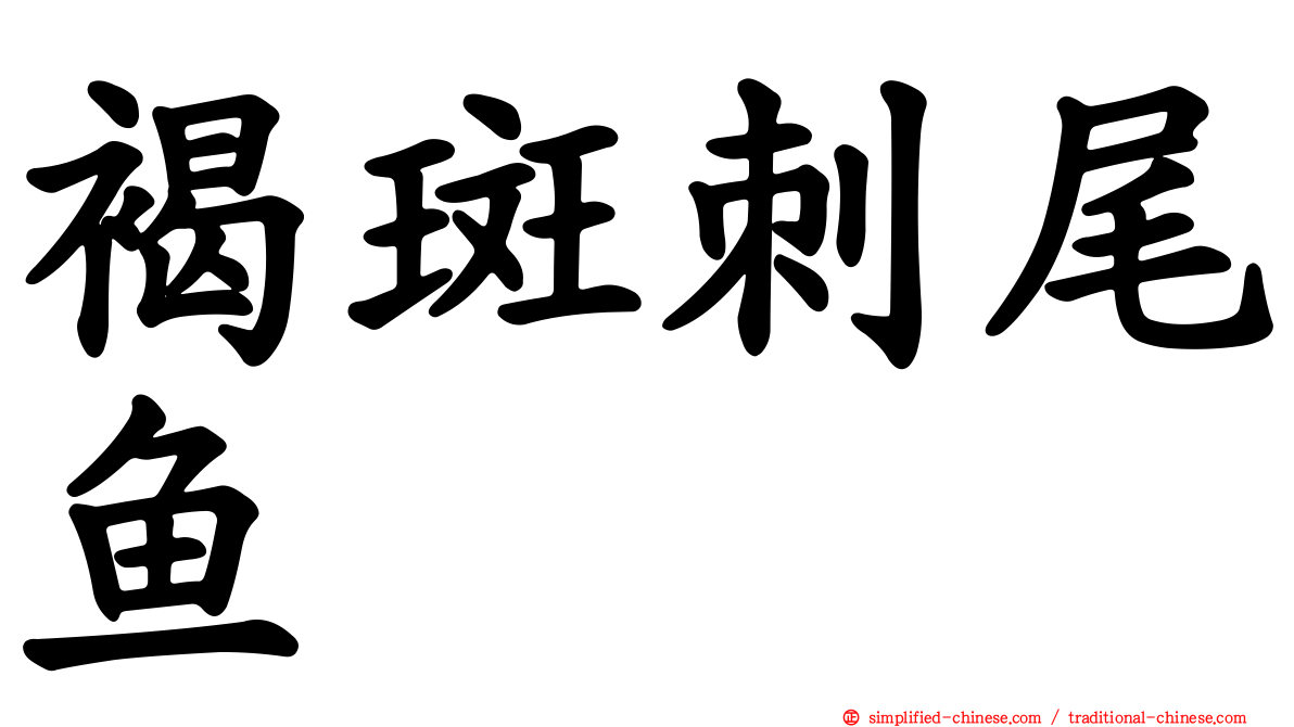 褐斑刺尾鱼